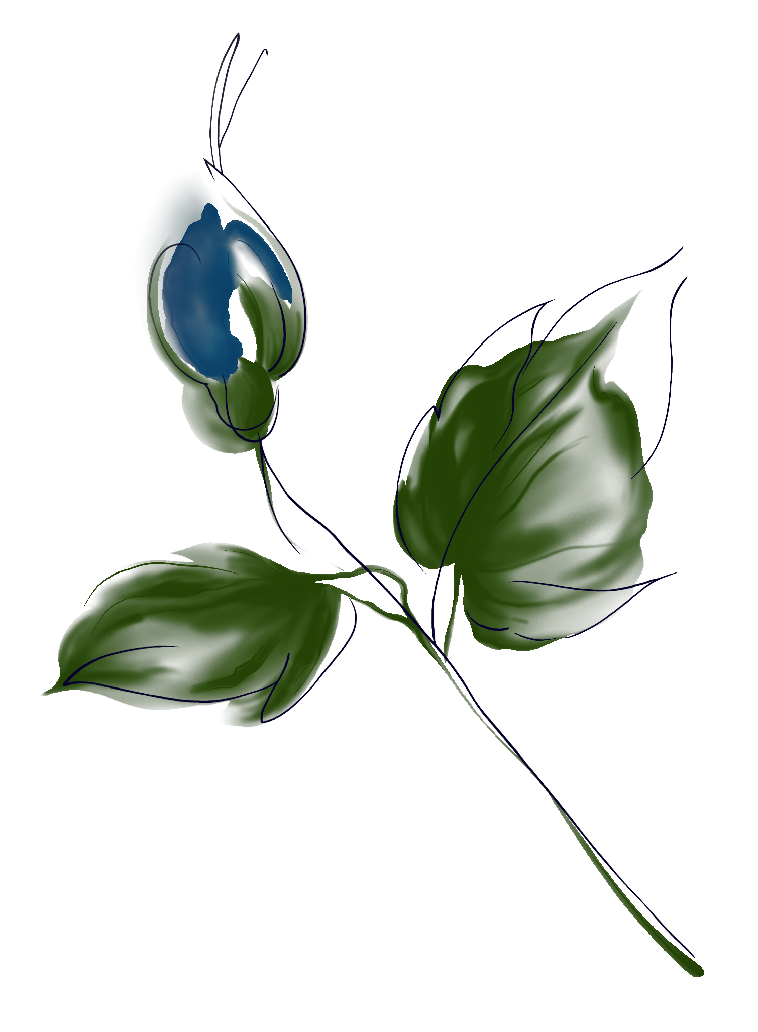 花